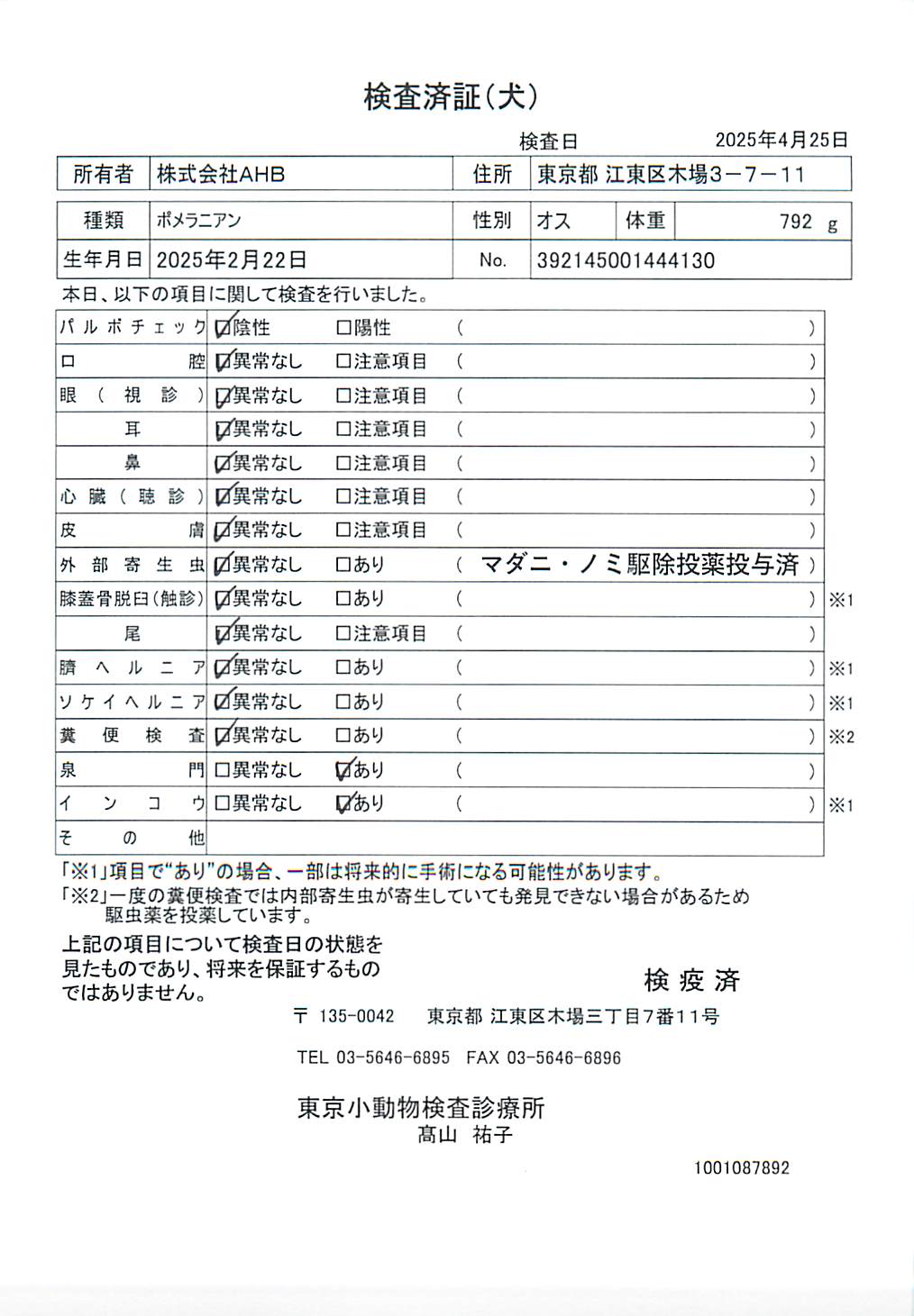 ポメラニアン