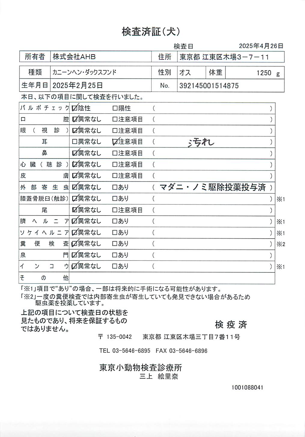 カニーンヘン・ダックスフンド