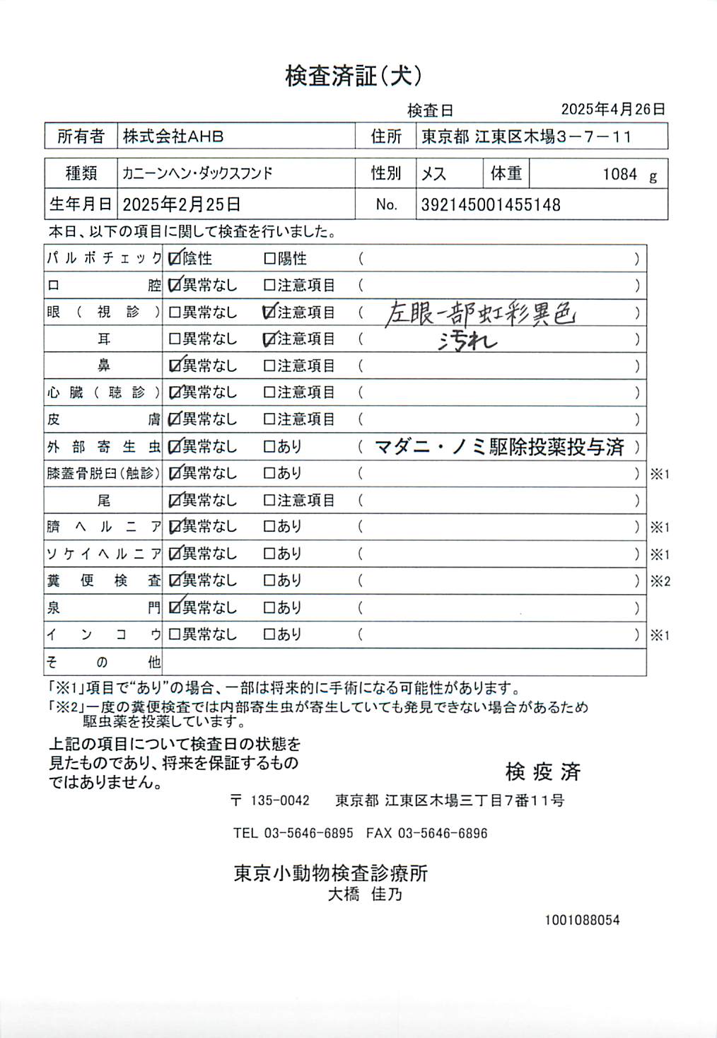 カニーンヘン・ダックスフンド