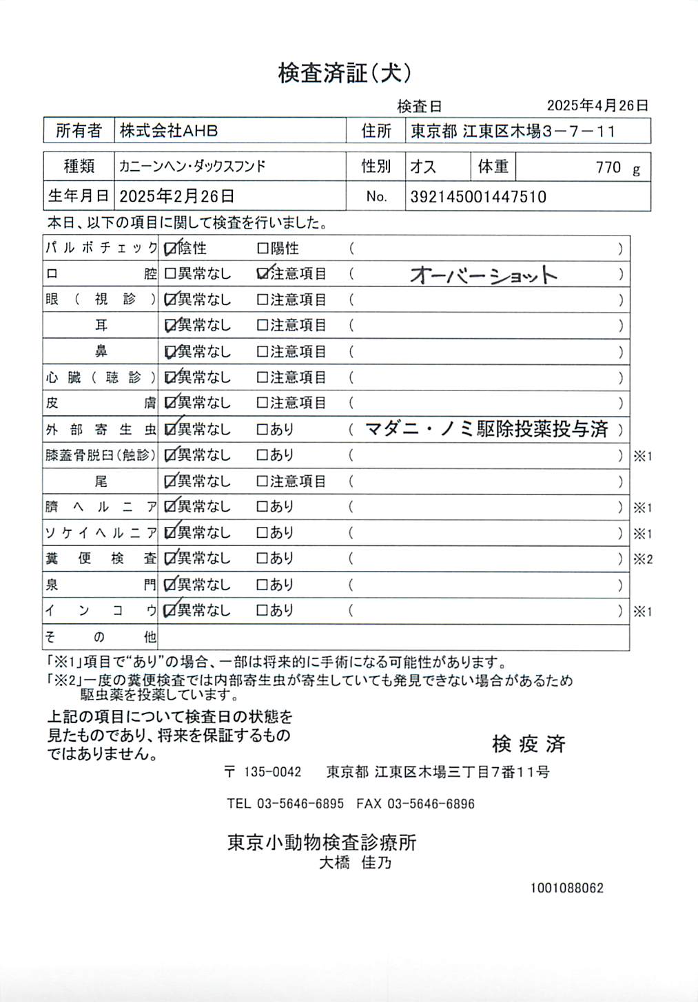 カニーンヘン・ダックスフンド