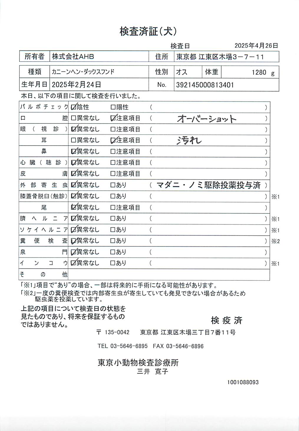 カニーンヘン・ダックスフンド