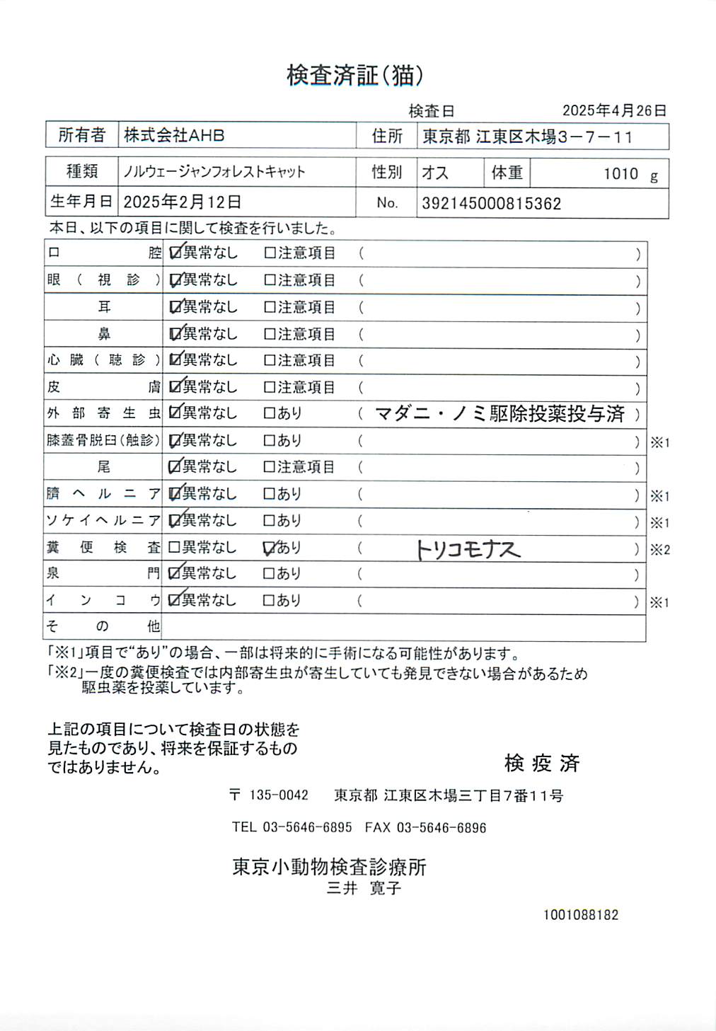 ノルウェージャンフォレストキャット