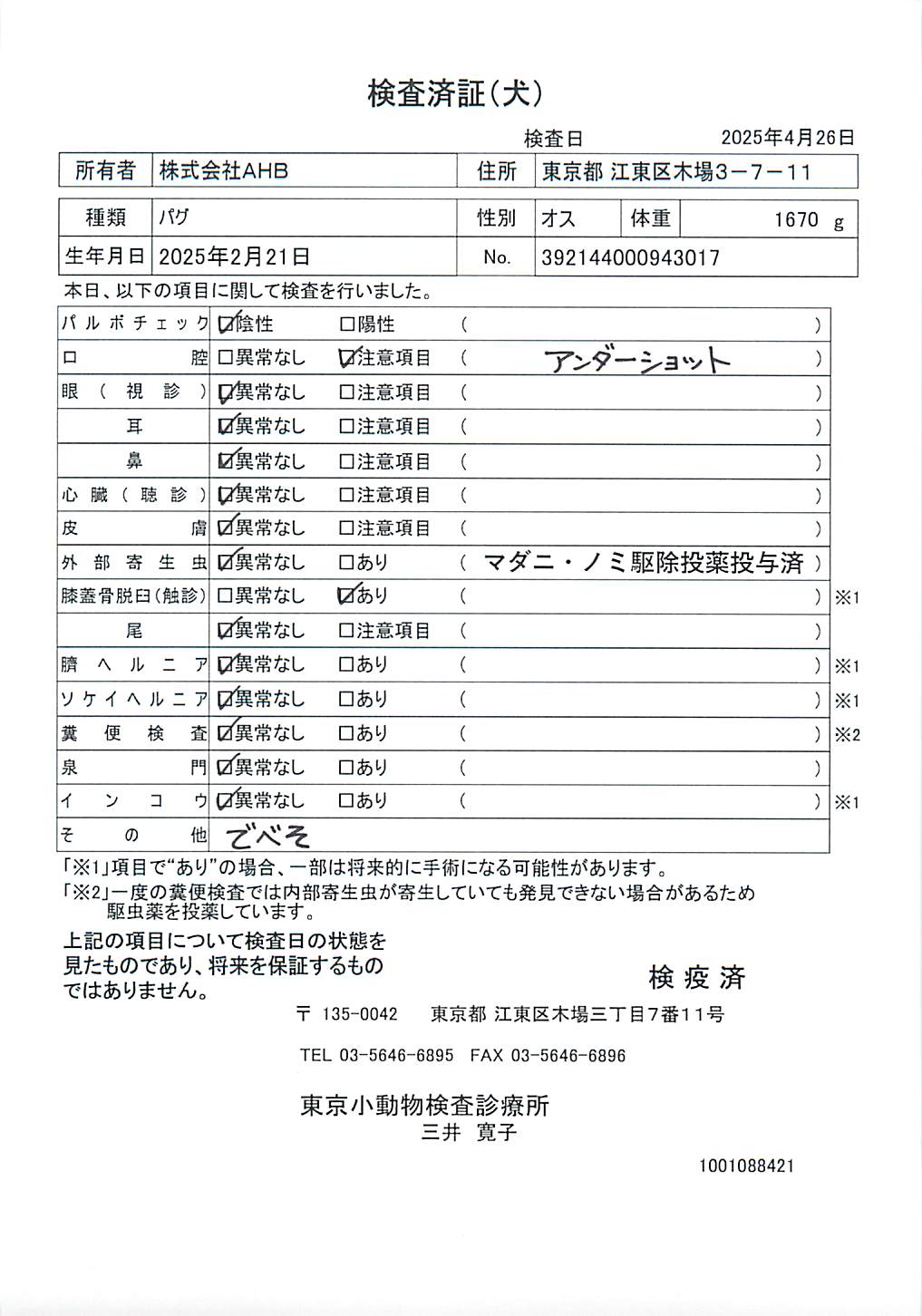 パグ