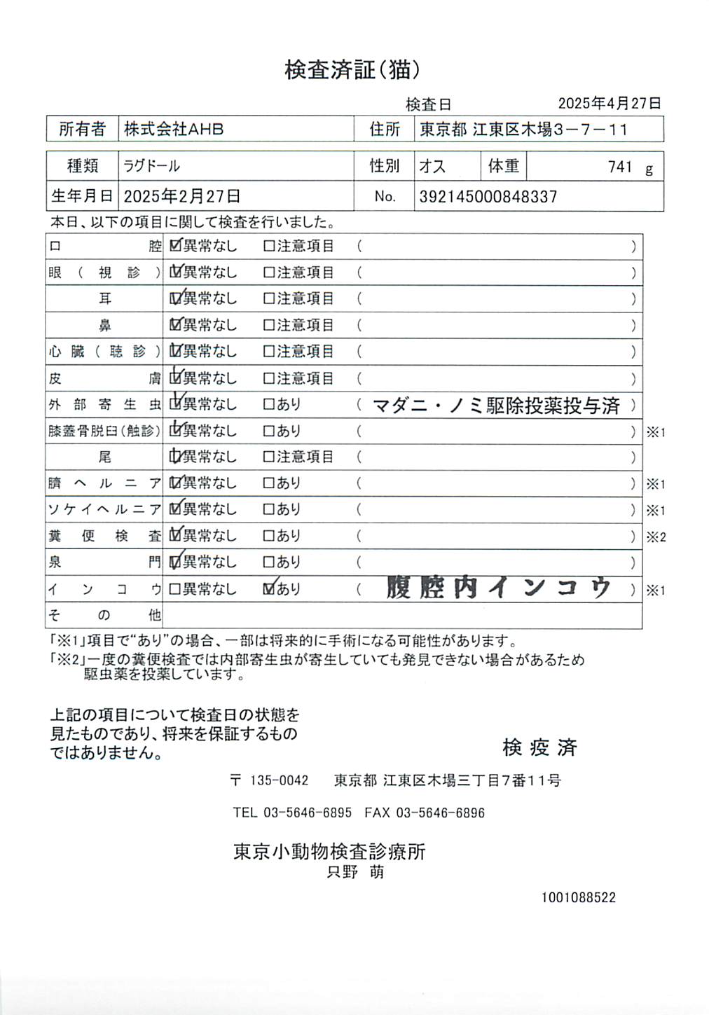ラグドール