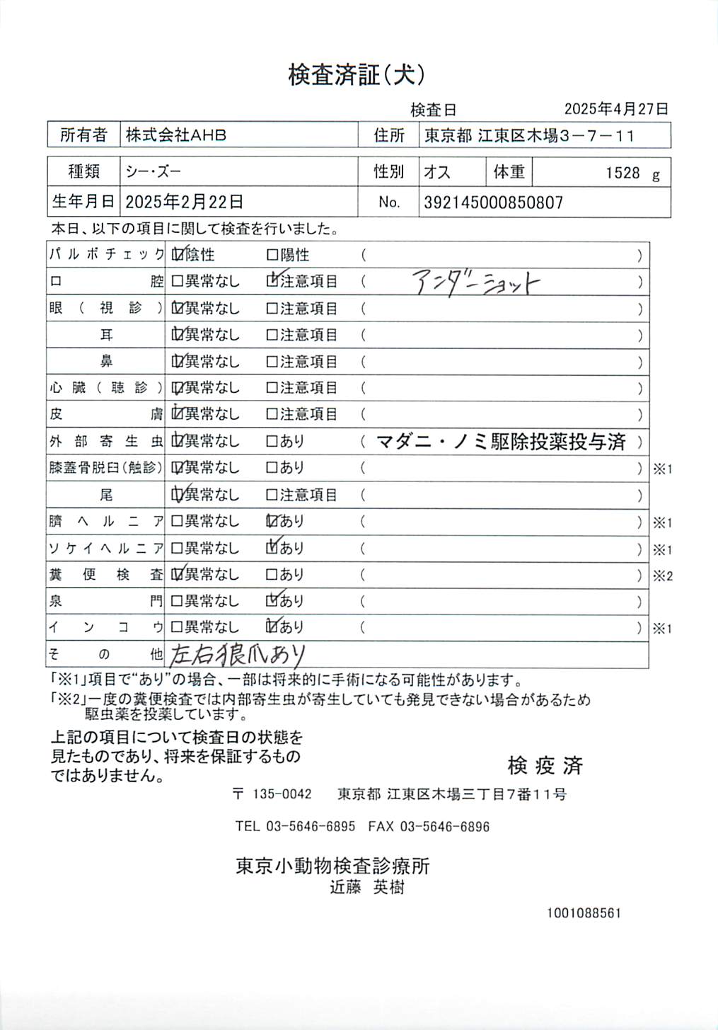 シー・ズー