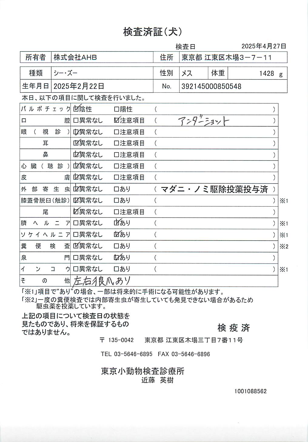 シー・ズー