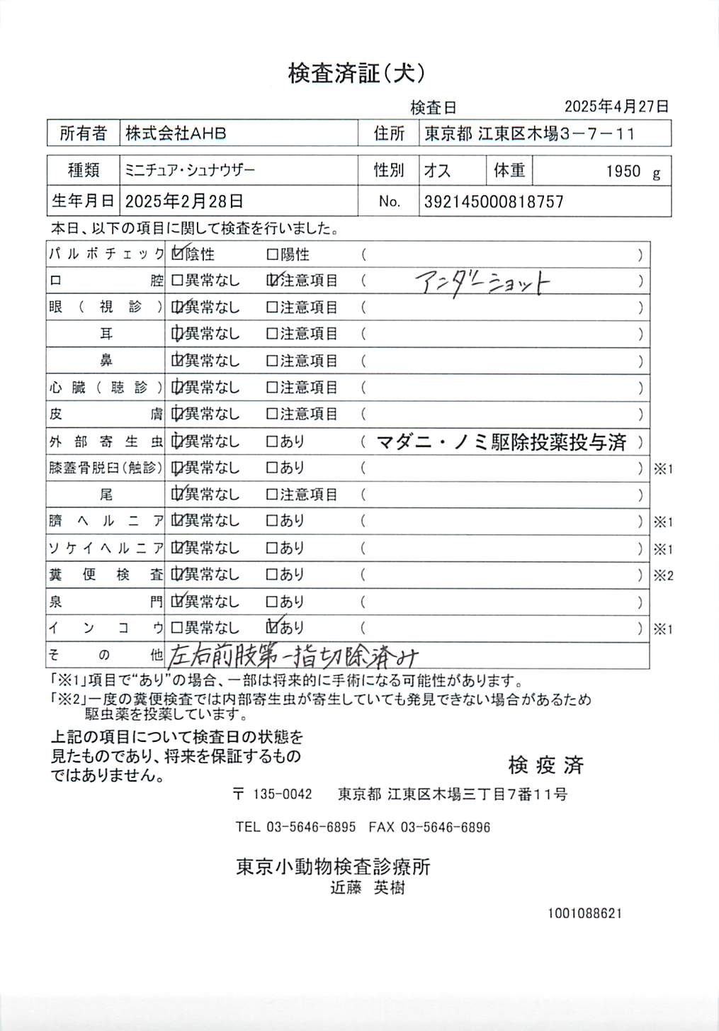 ミニチュア・シュナウザー