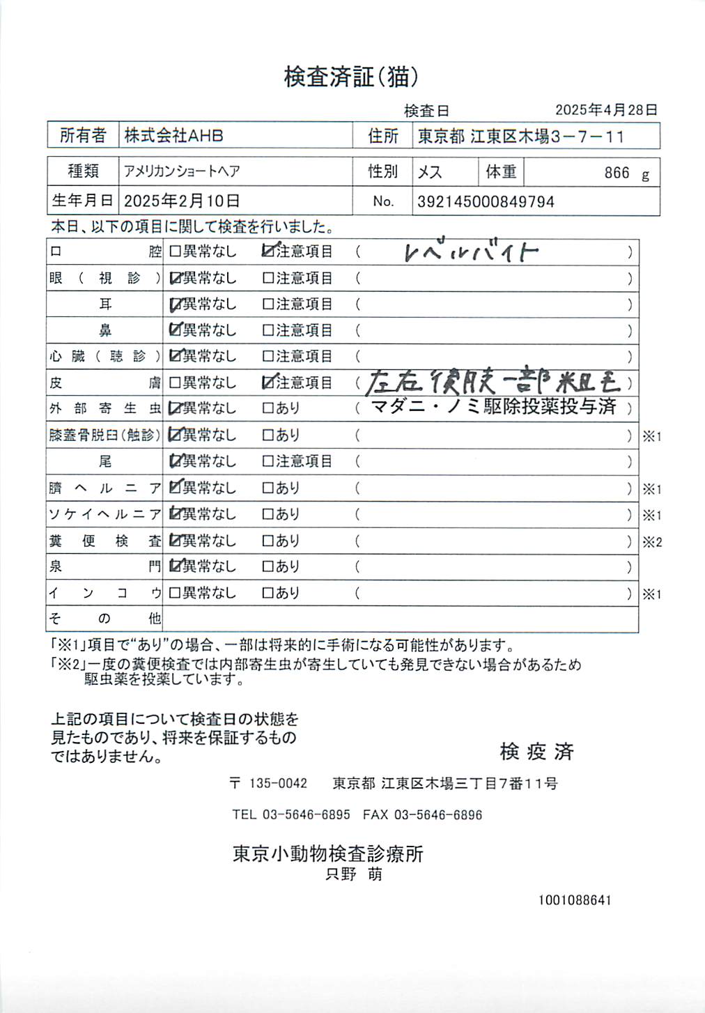 アメリカンショートヘア