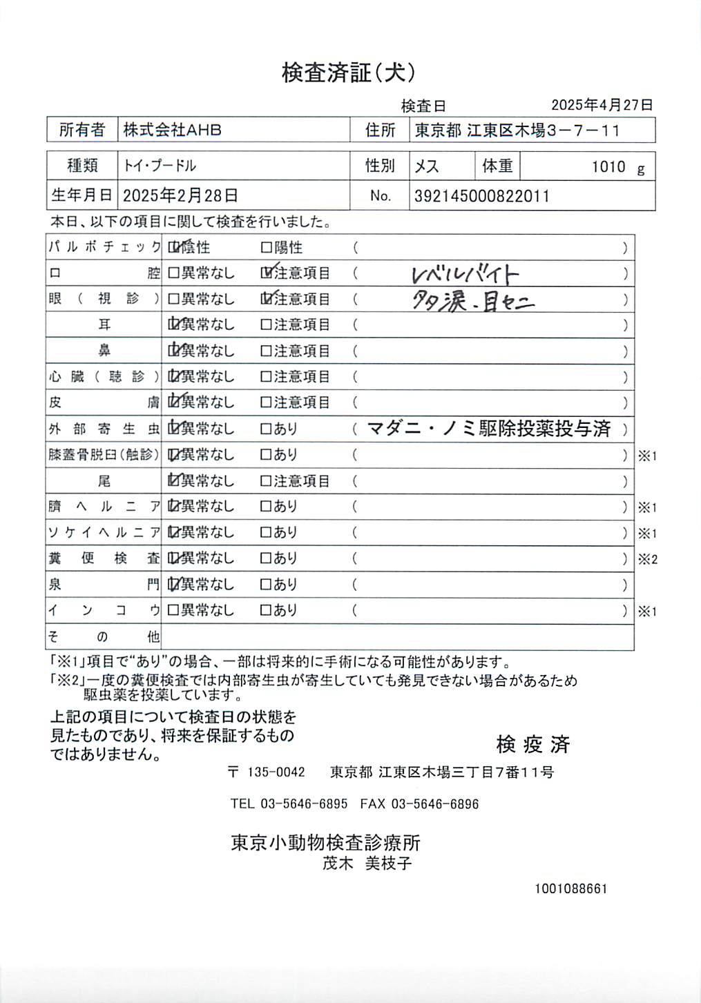 トイ・プードル