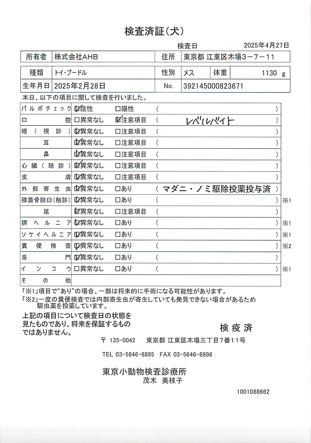 トイ・プードル