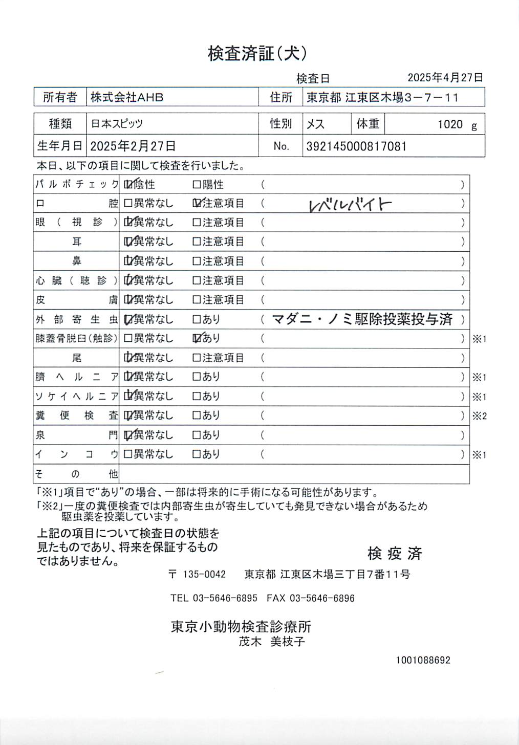 日本スピッツ