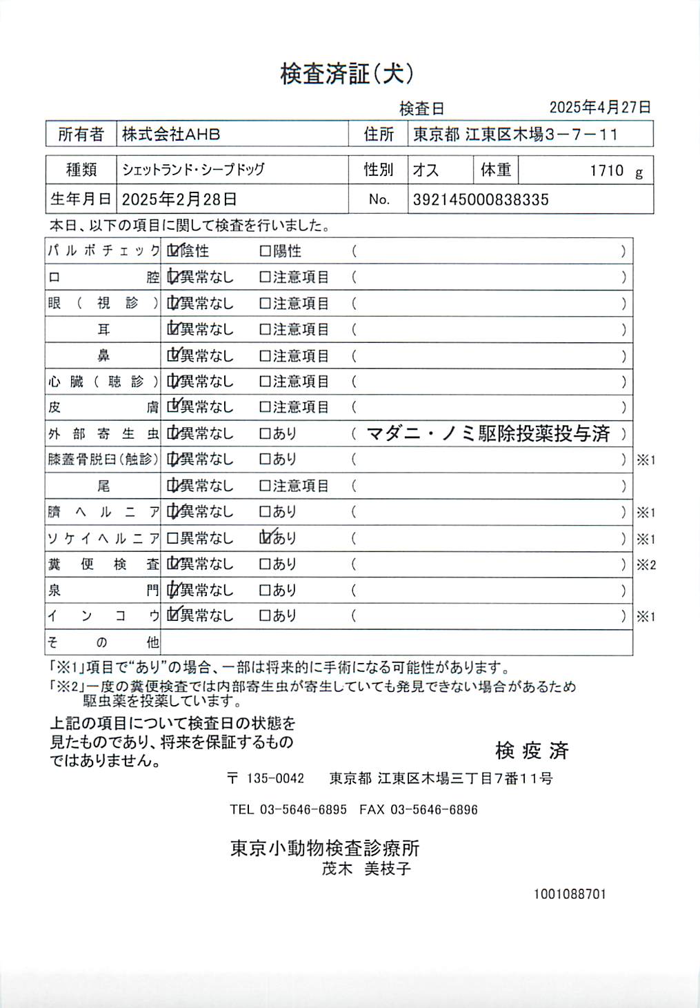 シェットランド・シープドッグ