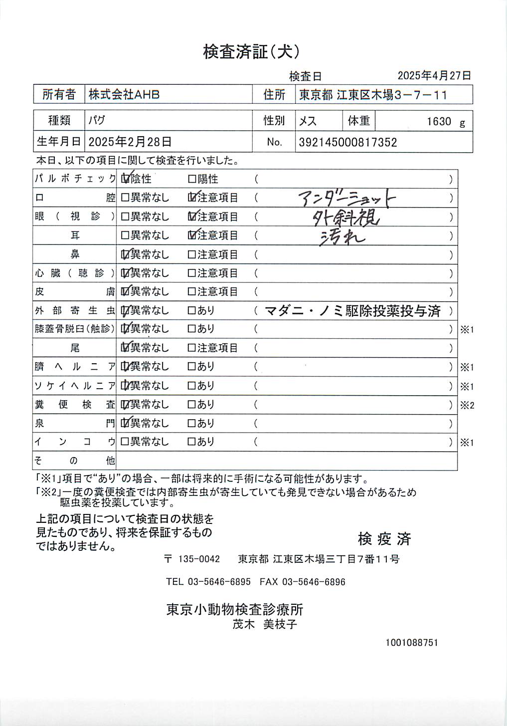 パグ