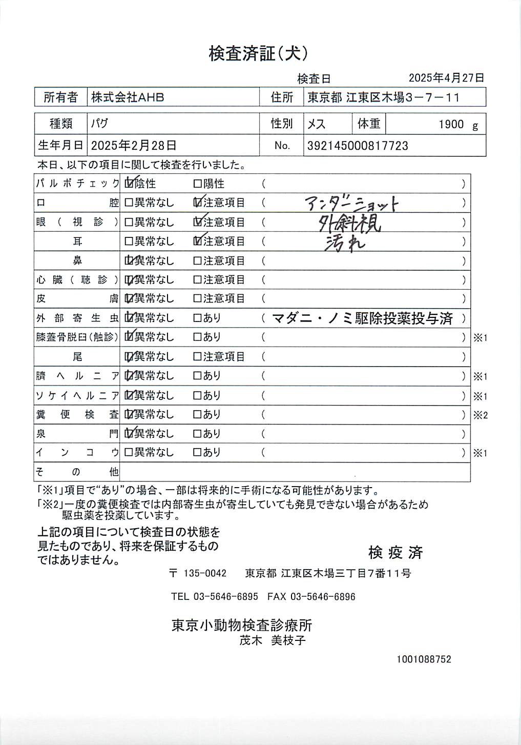 パグ
