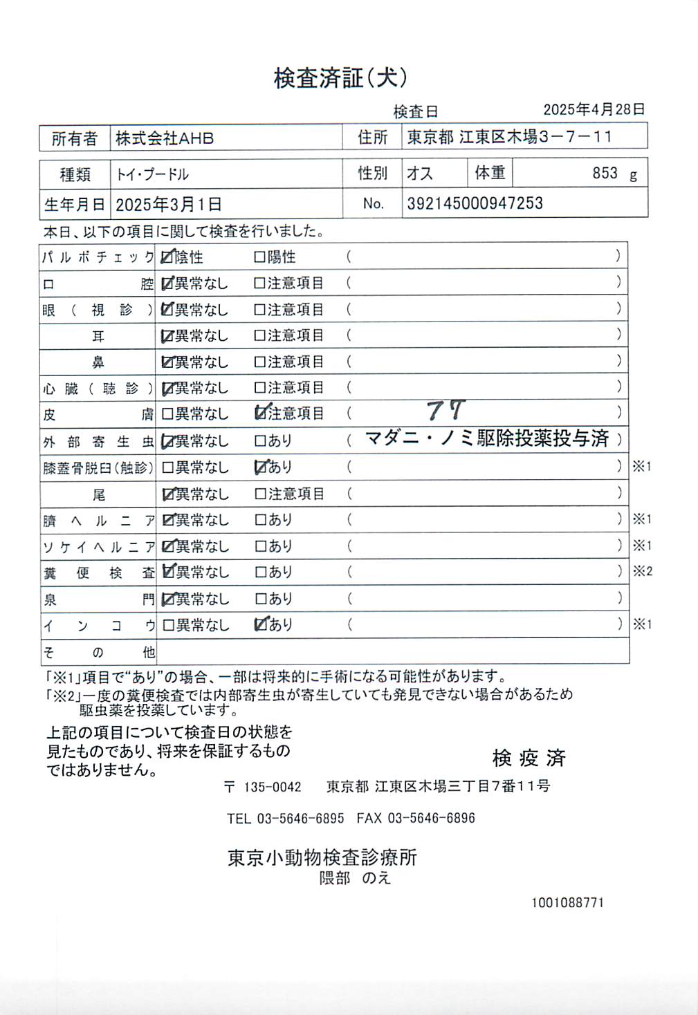 トイ・プードル