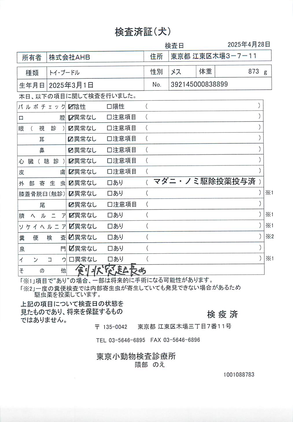 トイ・プードル
