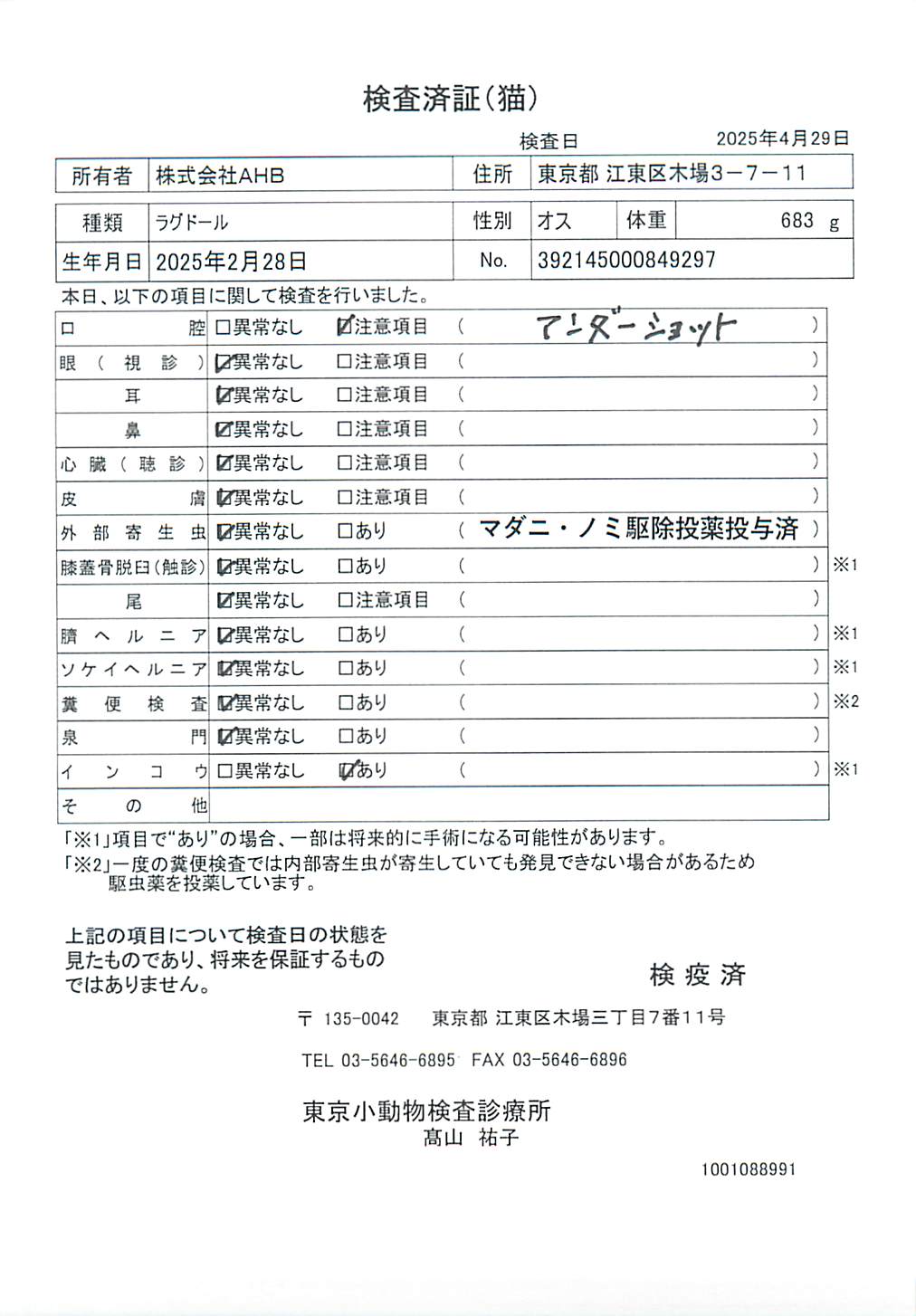 ラグドール