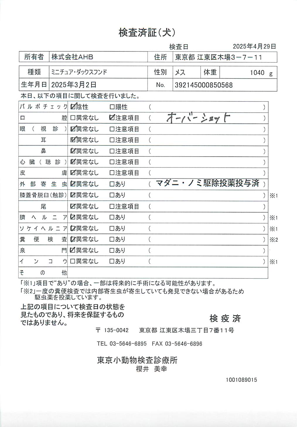 ミニチュア・ダックスフンド