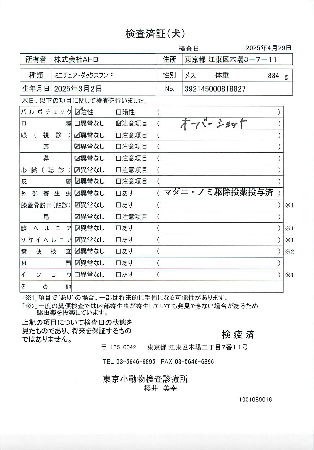 ミニチュア・ダックスフンド