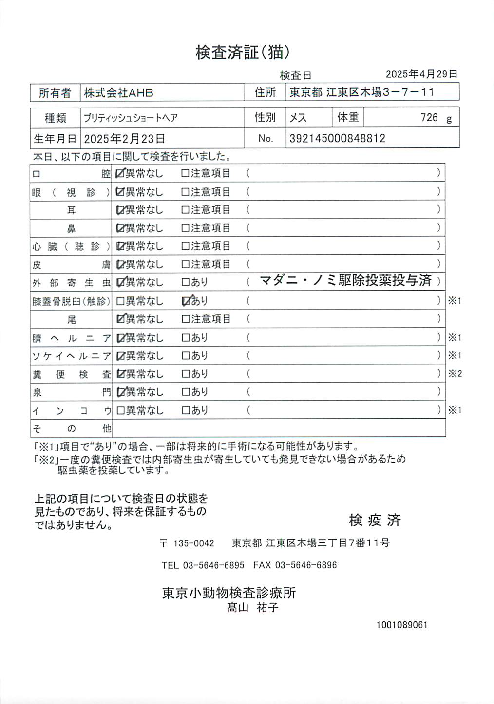 ブリティッシュショートヘア