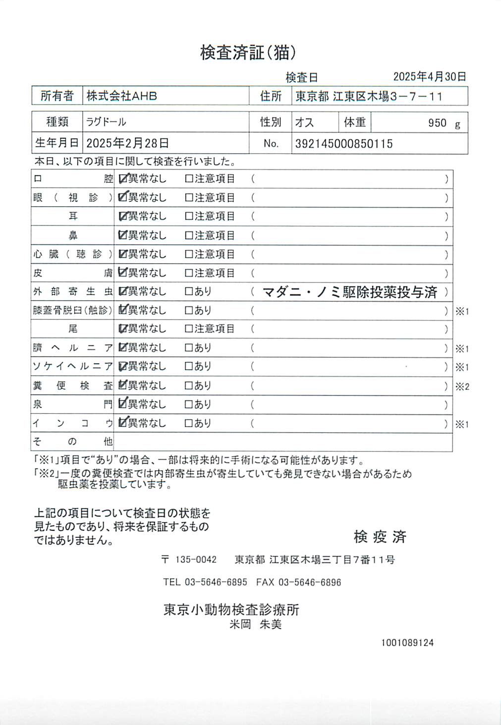 ラグドール