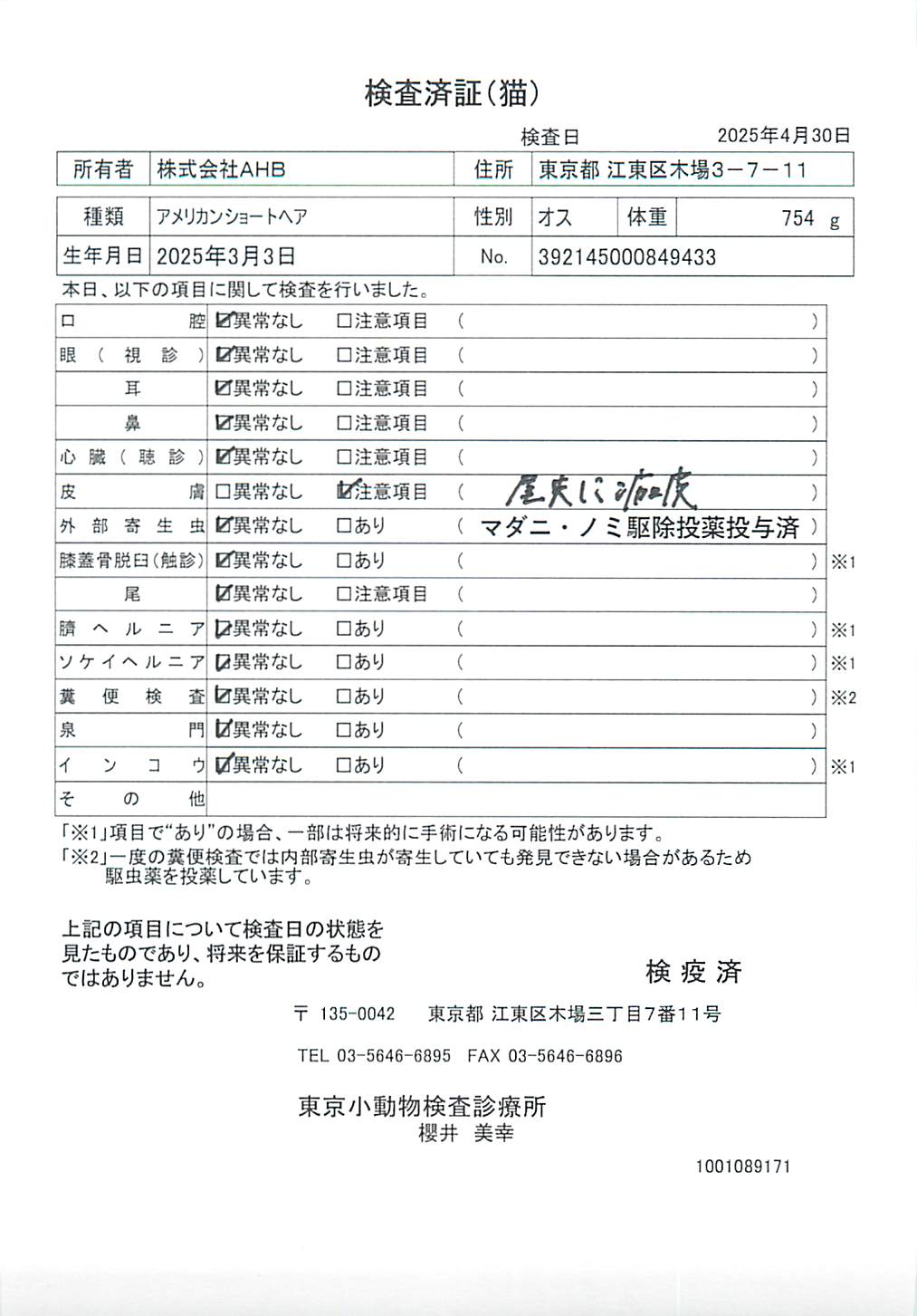 アメリカンショートヘア
