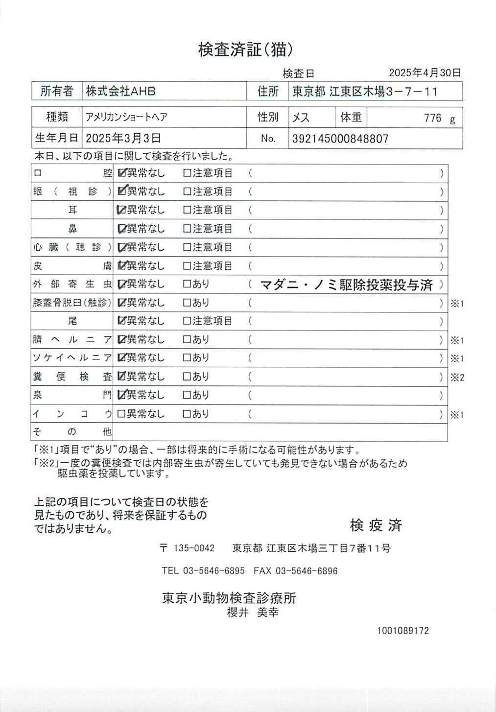 アメリカンショートヘア