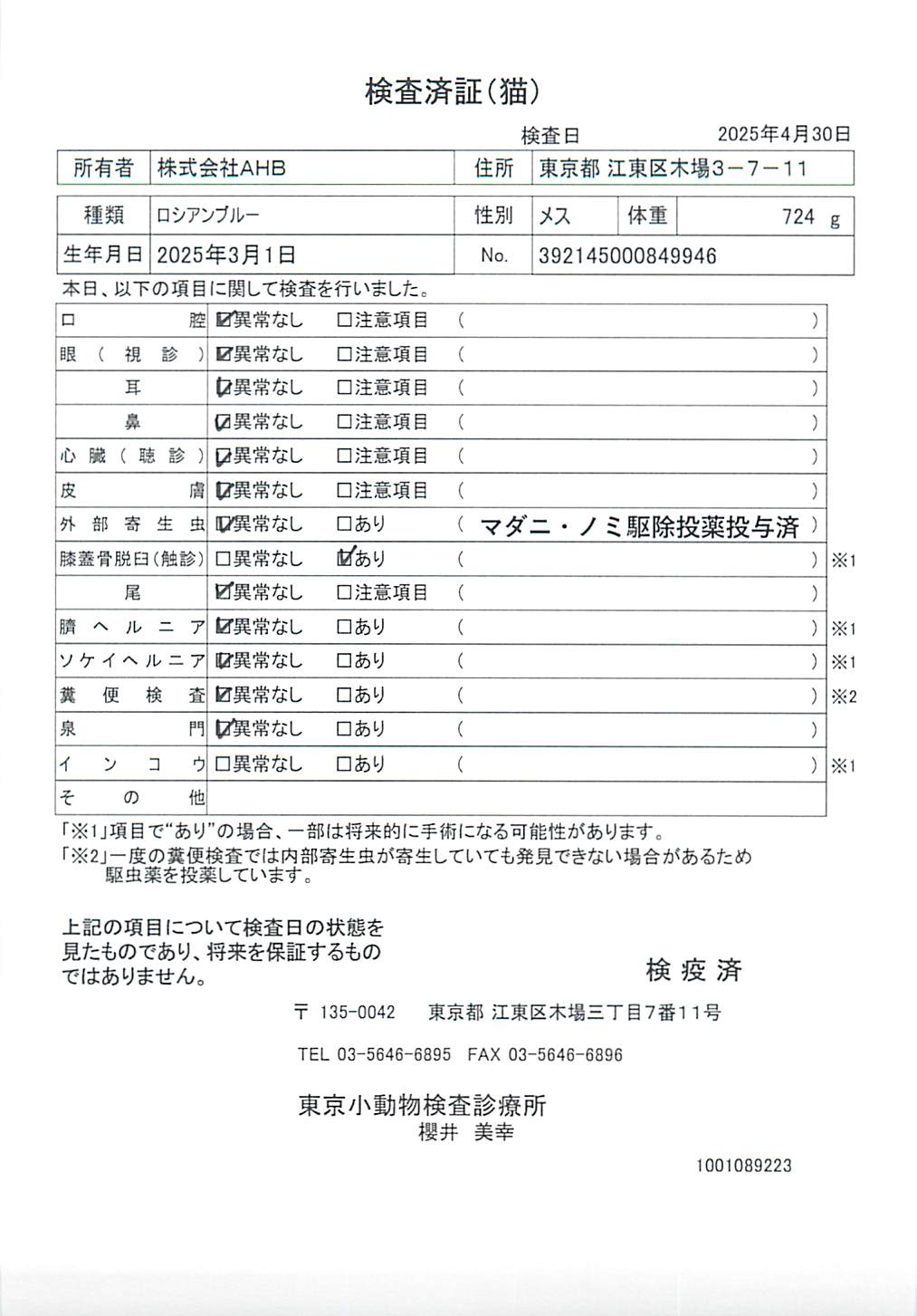ロシアンブルー
