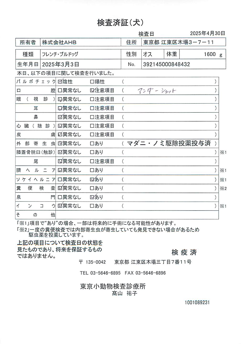 フレンチ・ブルドッグ