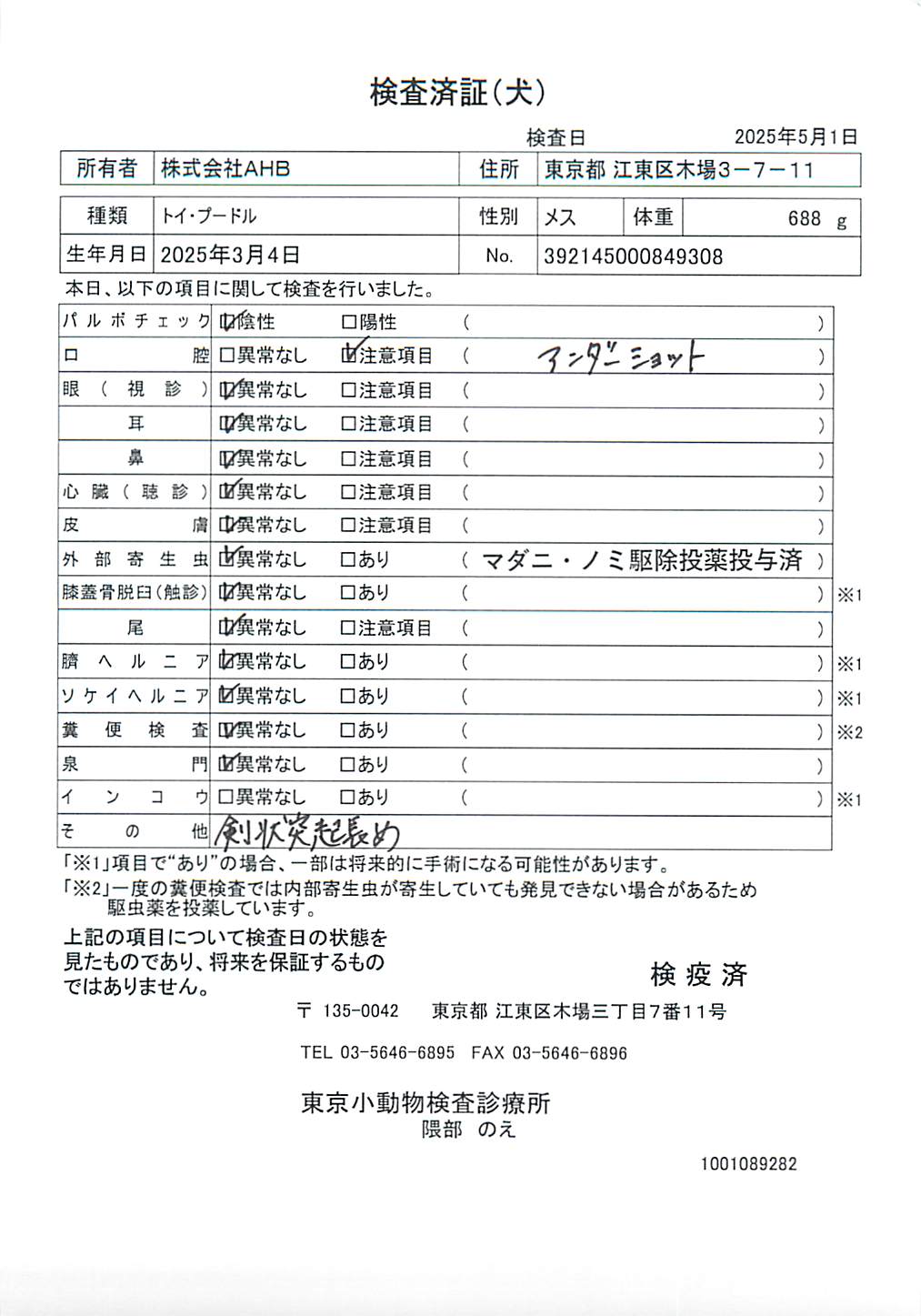 トイ・プードル