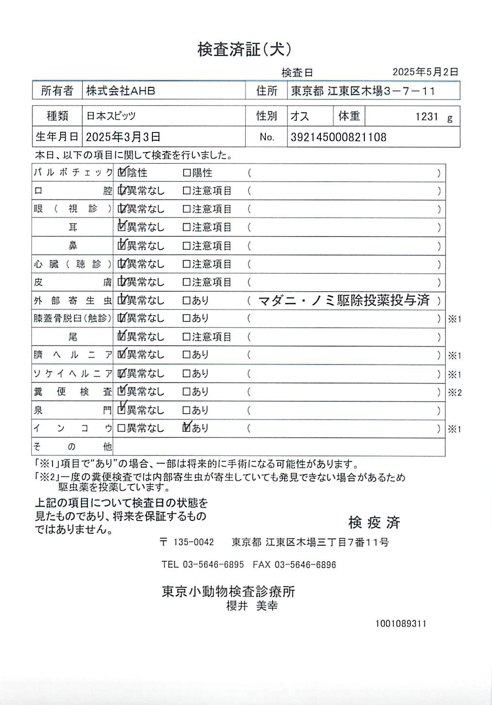 日本スピッツ