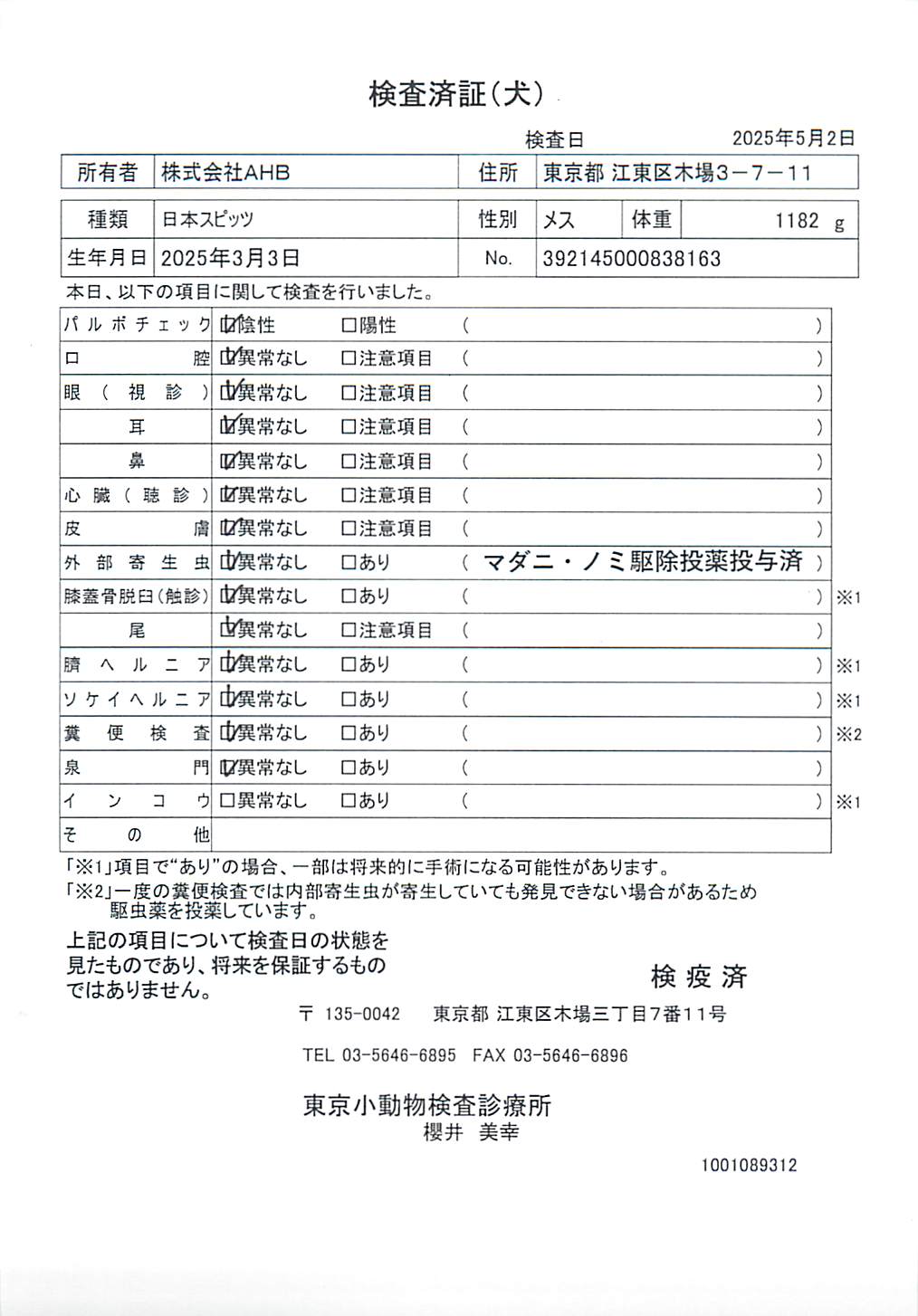 日本スピッツ
