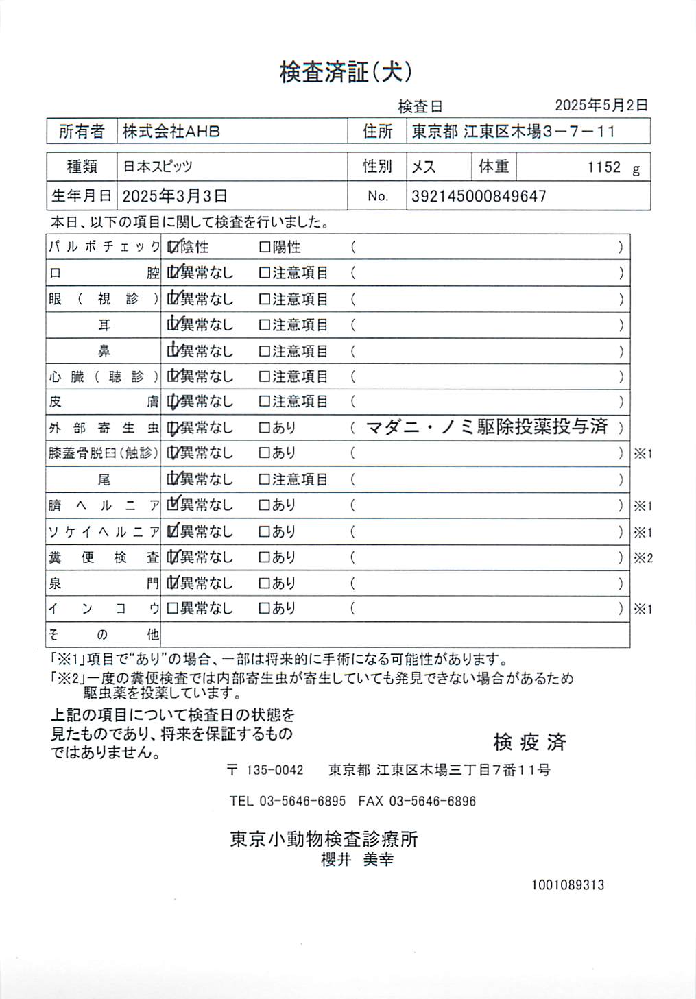 日本スピッツ