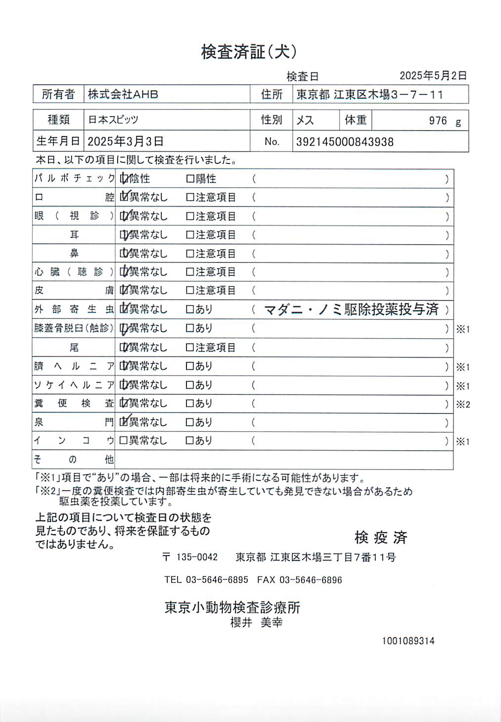 日本スピッツ
