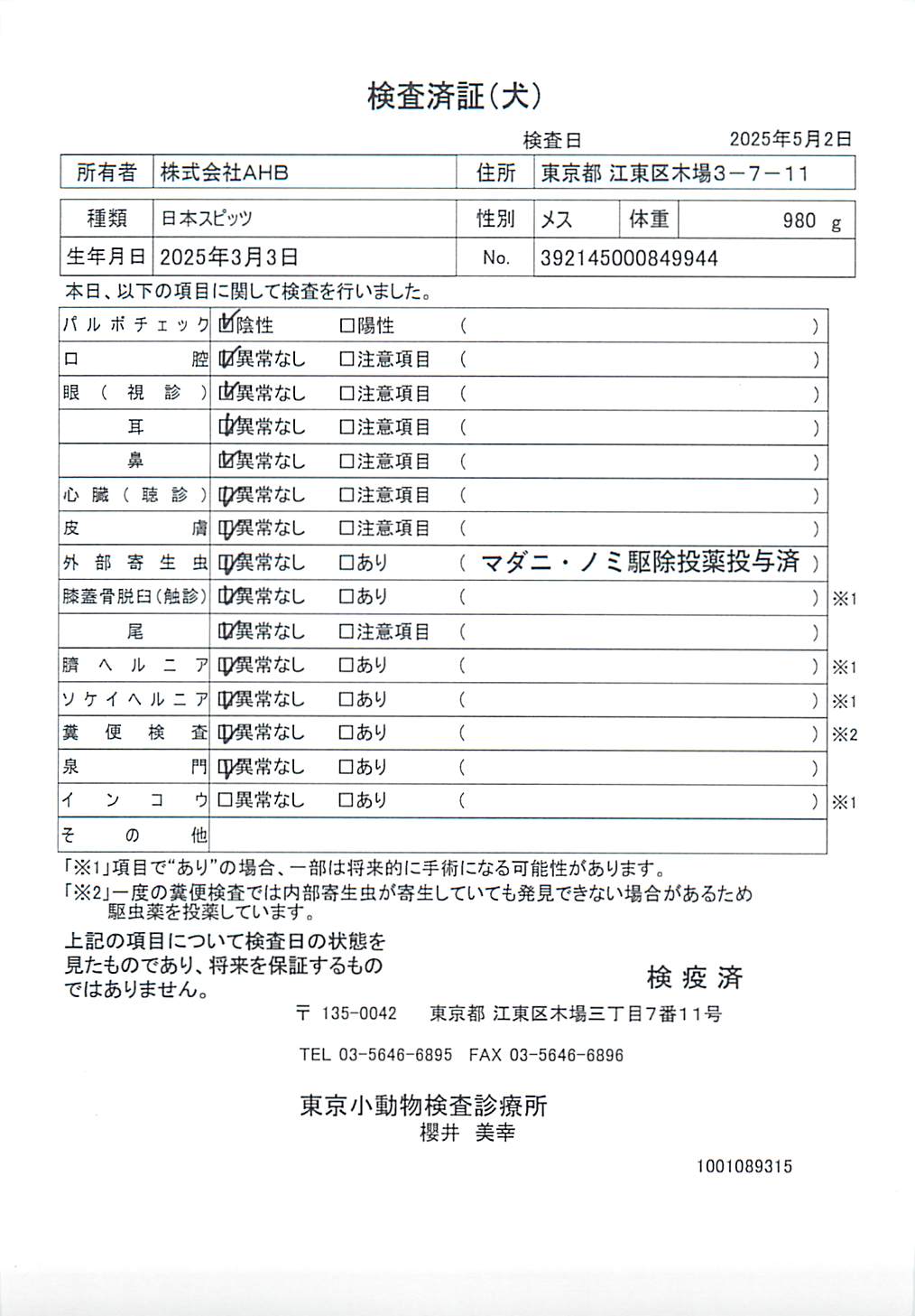 日本スピッツ