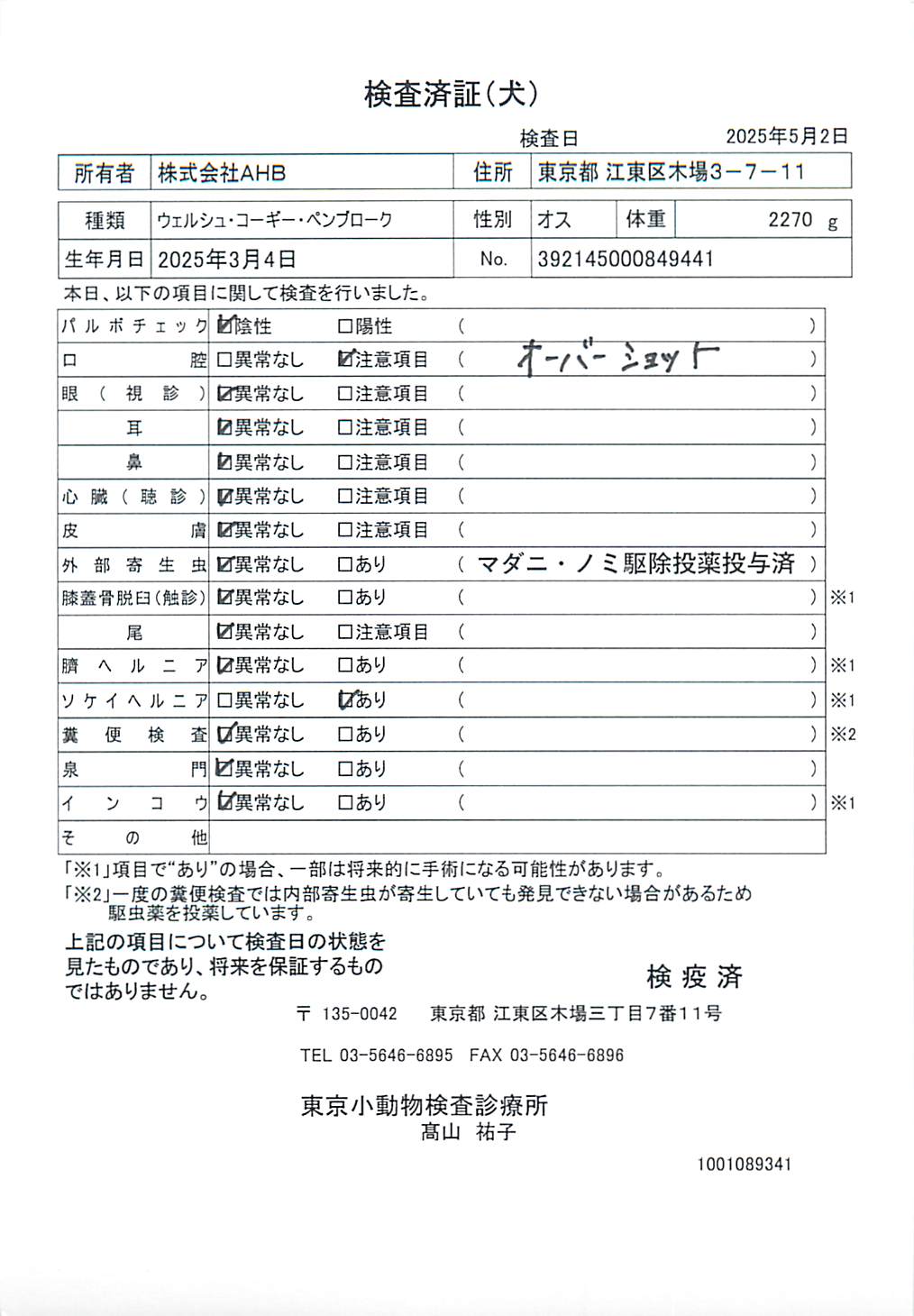 ウェルシュ・コーギー・ペンブローク