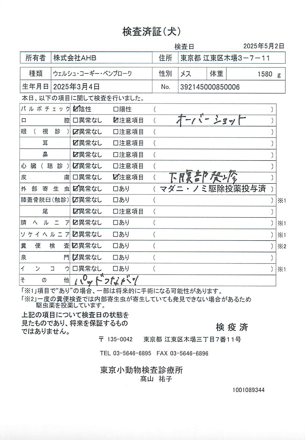 ウェルシュ・コーギー・ペンブローク