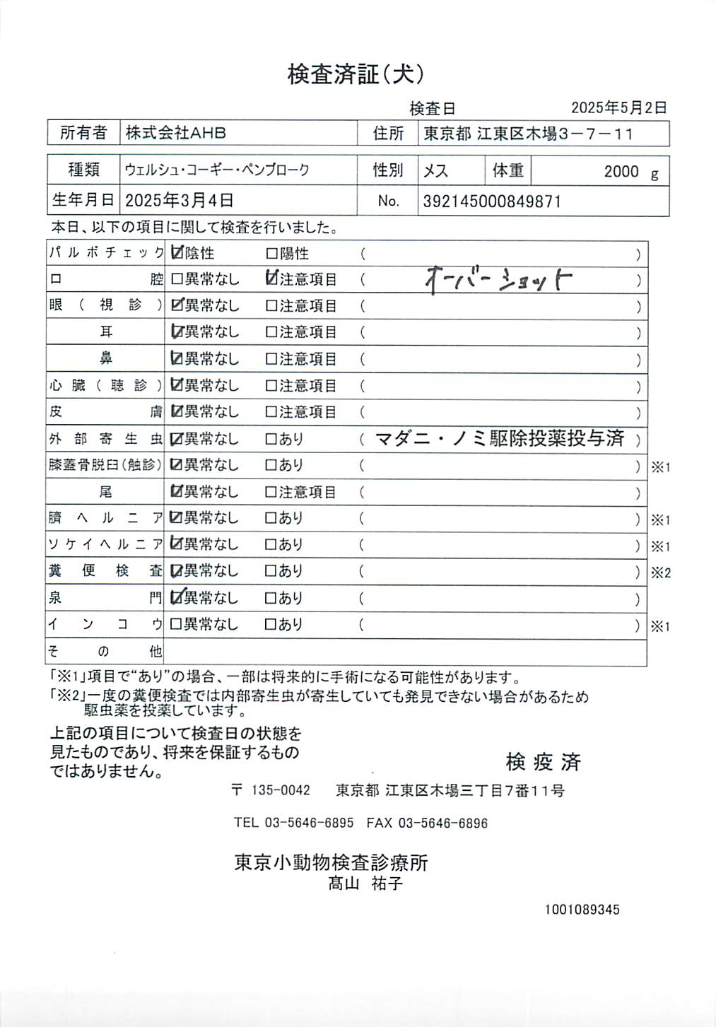 ウェルシュ・コーギー・ペンブローク