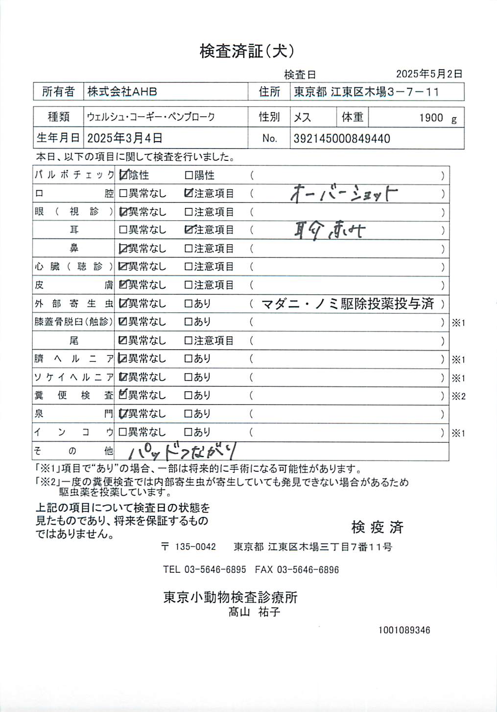 ウェルシュ・コーギー・ペンブローク
