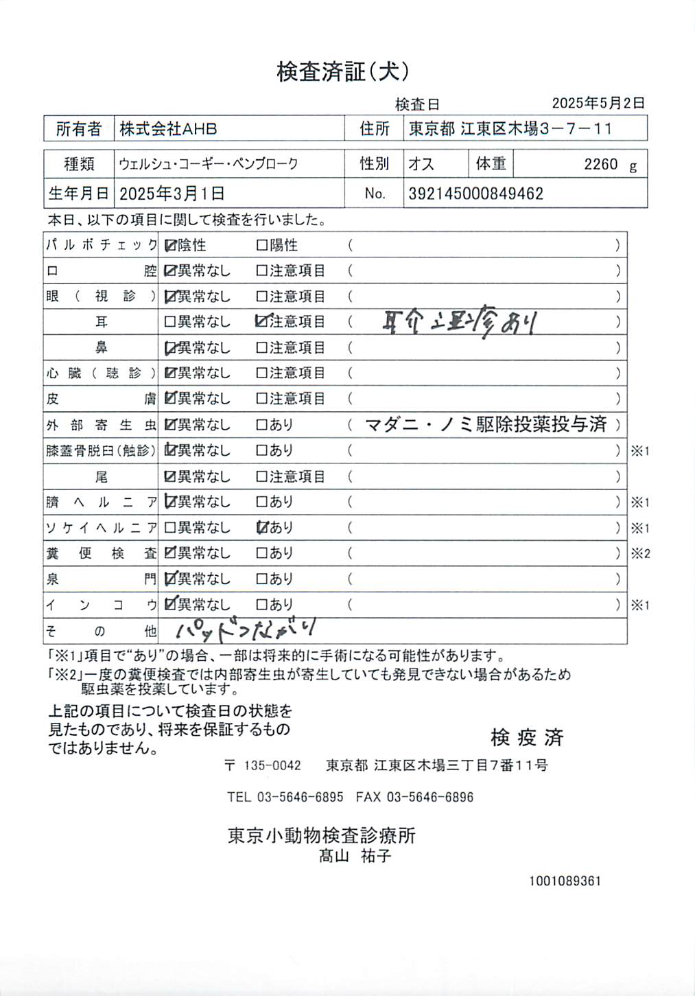 ウェルシュ・コーギー・ペンブローク