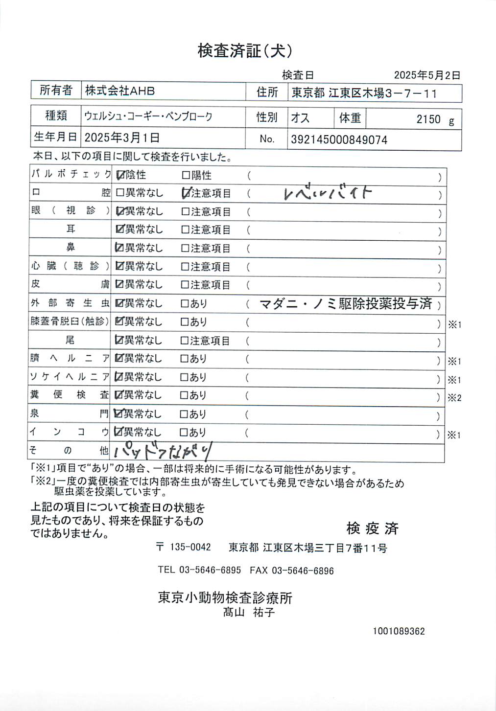 ウェルシュ・コーギー・ペンブローク