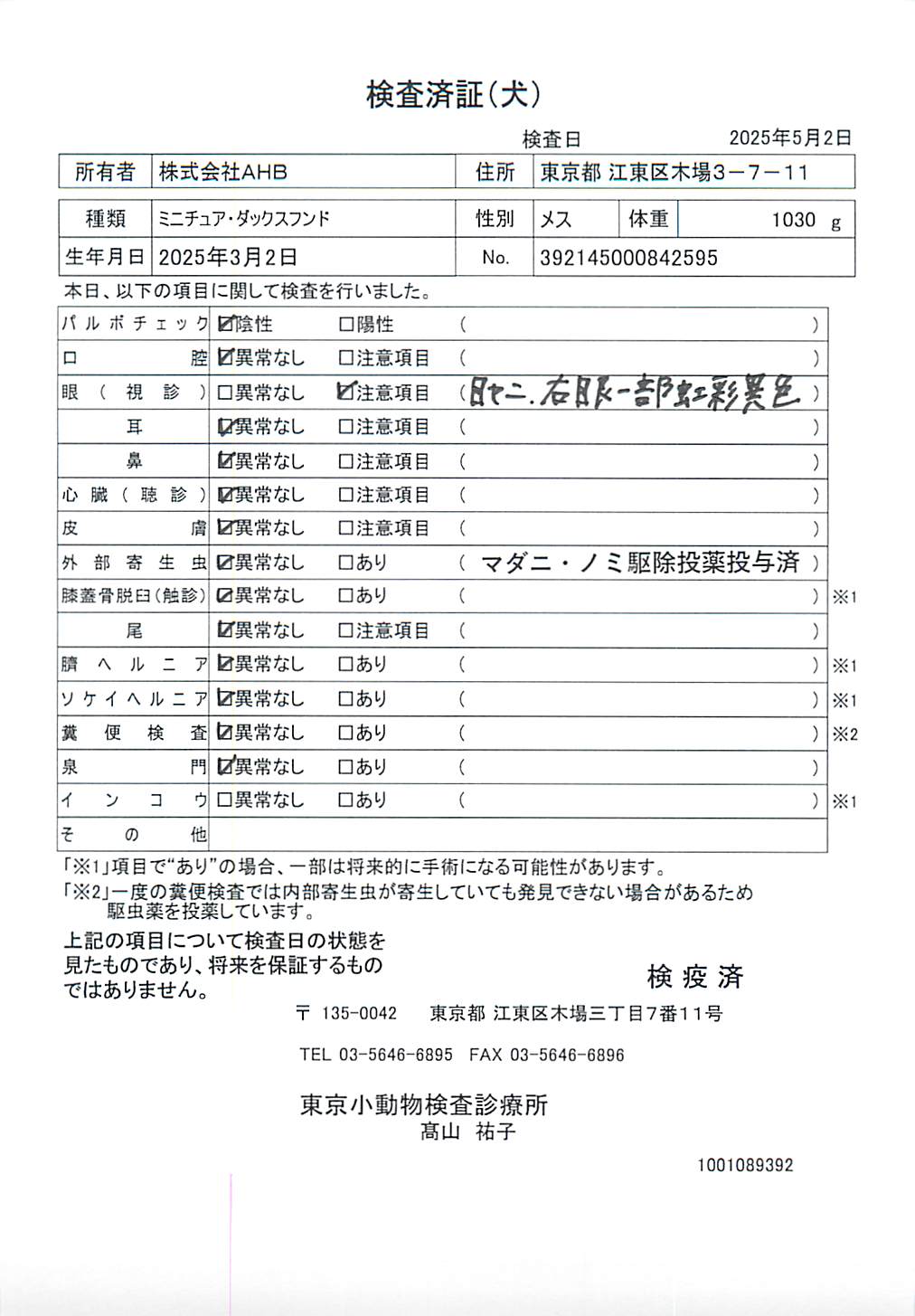 ミニチュア・ダックスフンド