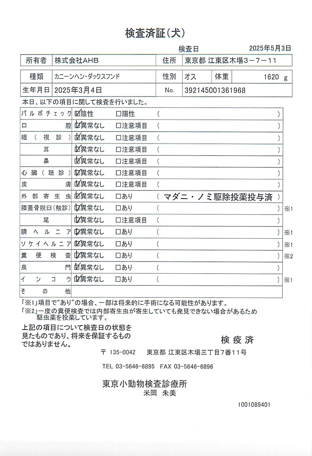 カニーンヘン・ダックスフンド