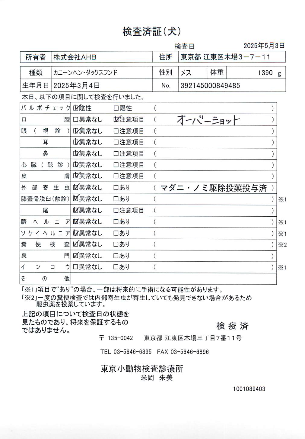 カニーンヘン・ダックスフンド
