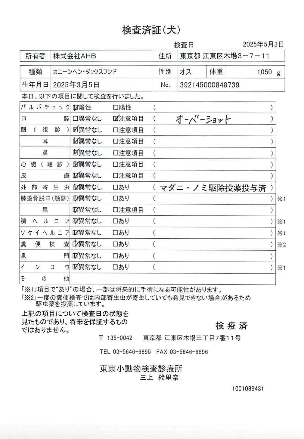 カニーンヘン・ダックスフンド