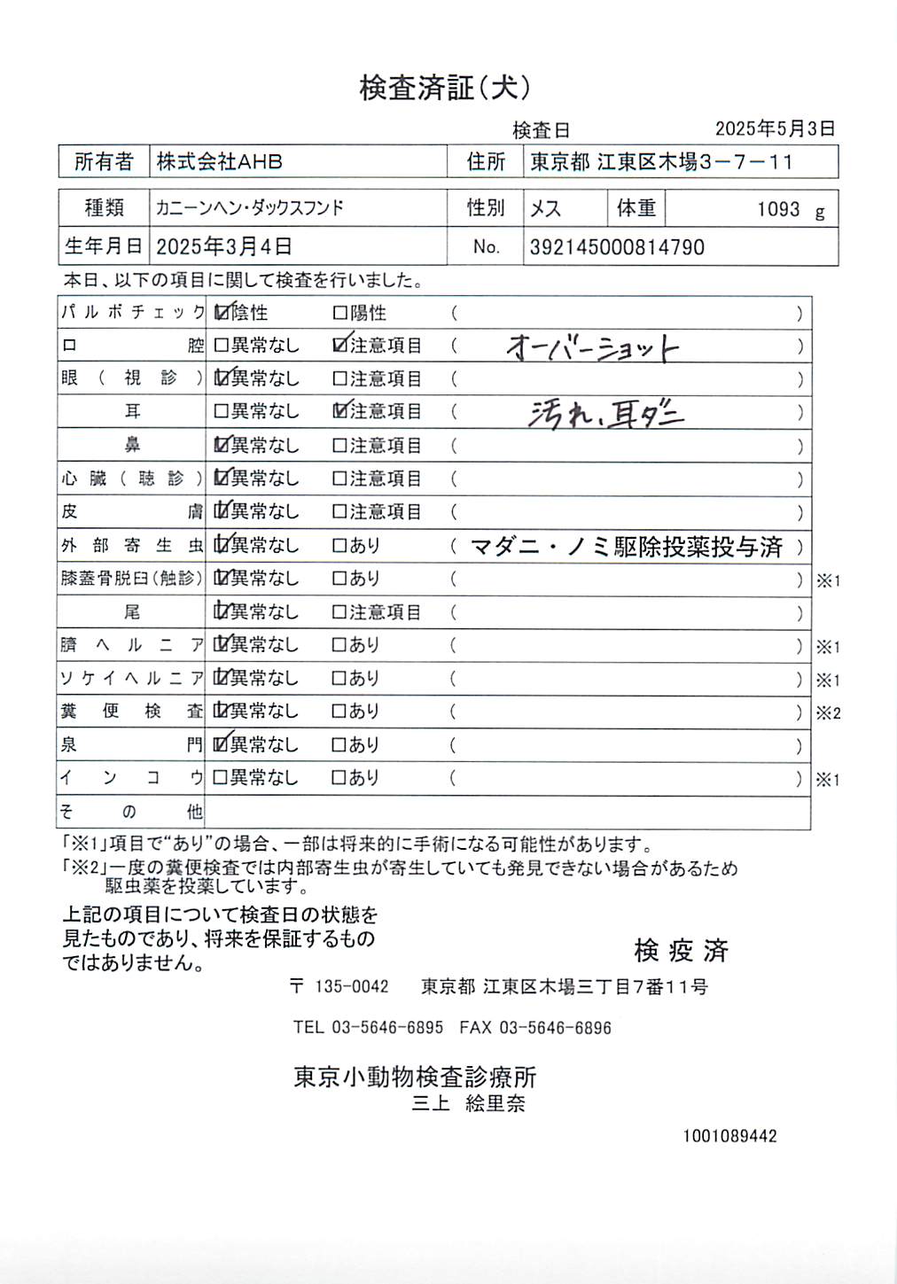 カニーンヘン・ダックスフンド