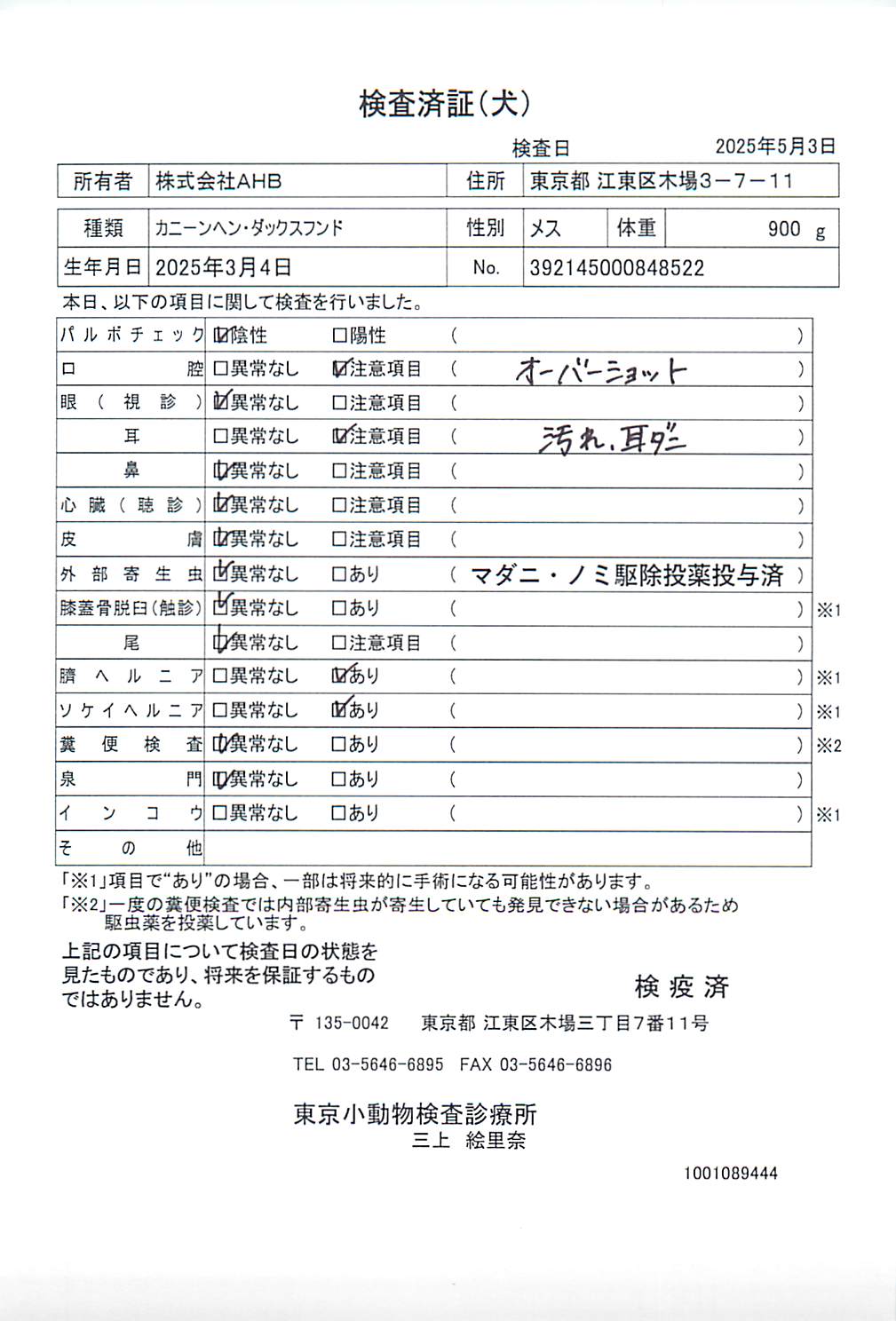 カニーンヘン・ダックスフンド