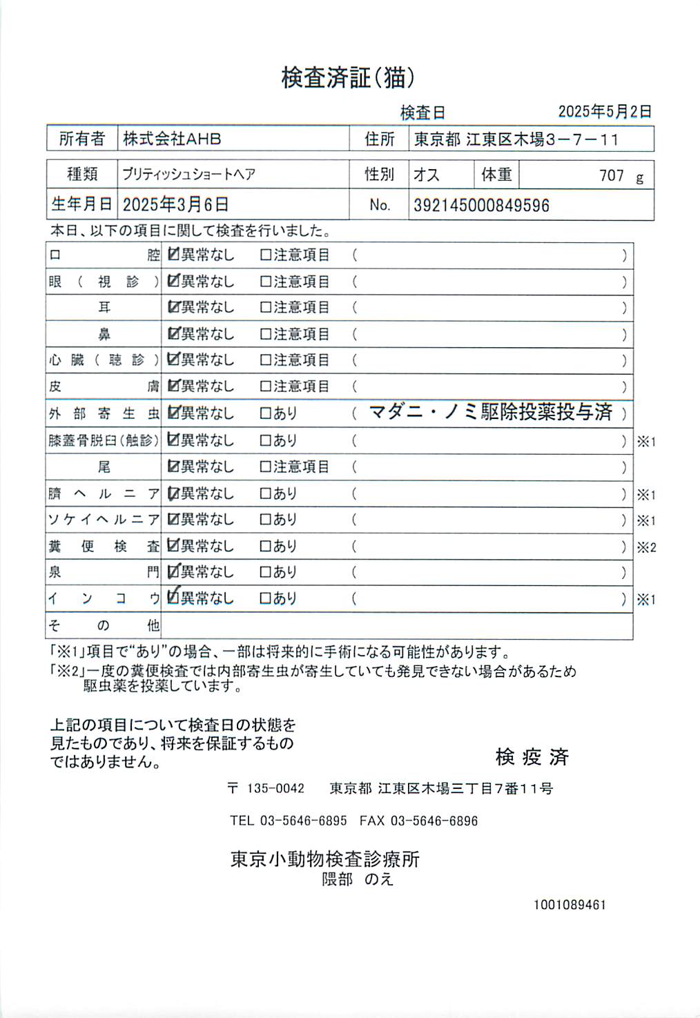 ブリティッシュショートヘア