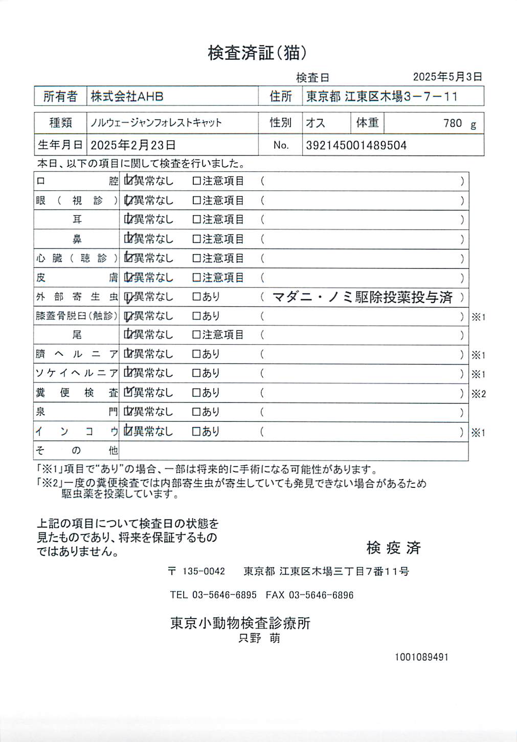 ノルウェージャンフォレストキャット
