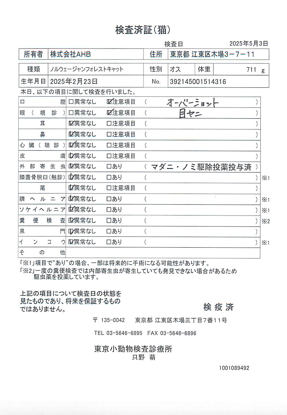 ノルウェージャンフォレストキャット